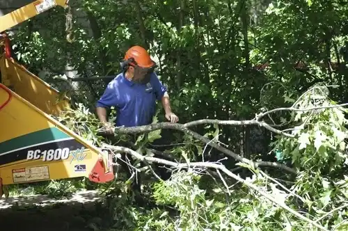 tree services Iuka